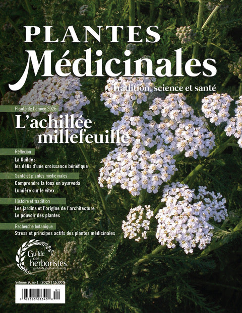 Plantes médicinales
